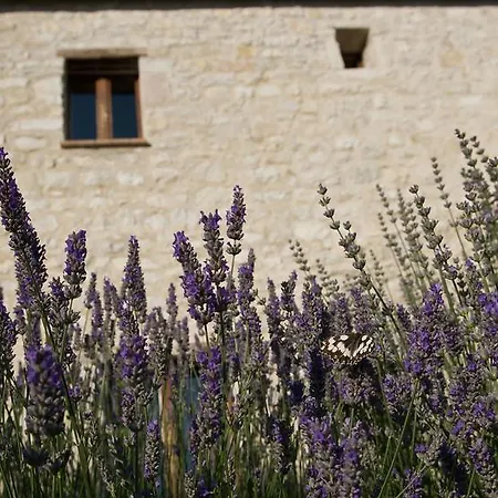 Κατάλυμα σε φάρμα Agriturismo Borgo La Torre Φολίνιο