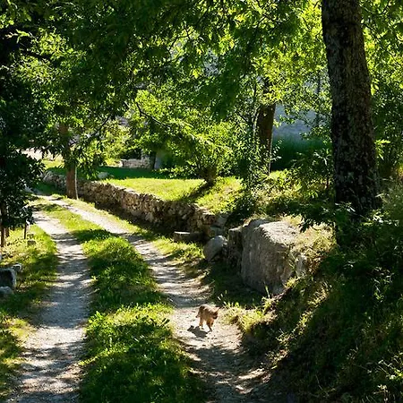 Κατάλυμα σε φάρμα Agriturismo Borgo La Torre *
