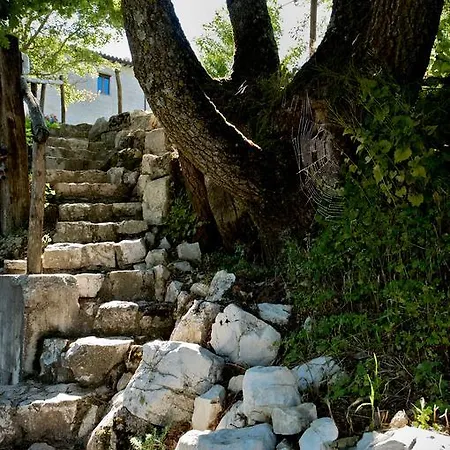 Κατάλυμα σε φάρμα Agriturismo Borgo La Torre