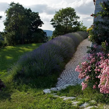 Agriturismo Borgo La Torre