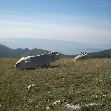 Agriturismo Borgo La Torre Κατάλυμα σε φάρμα Φολίνιο