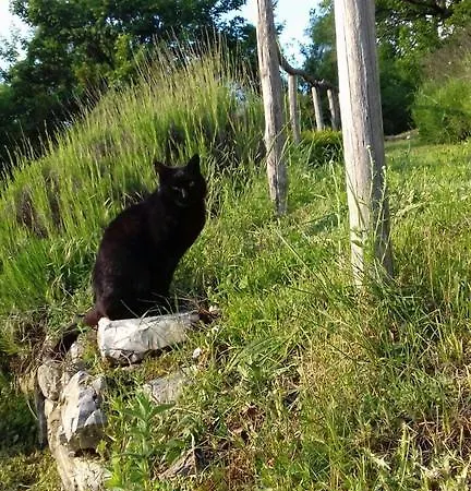 Agriturismo Borgo La Torre Φολίνιο